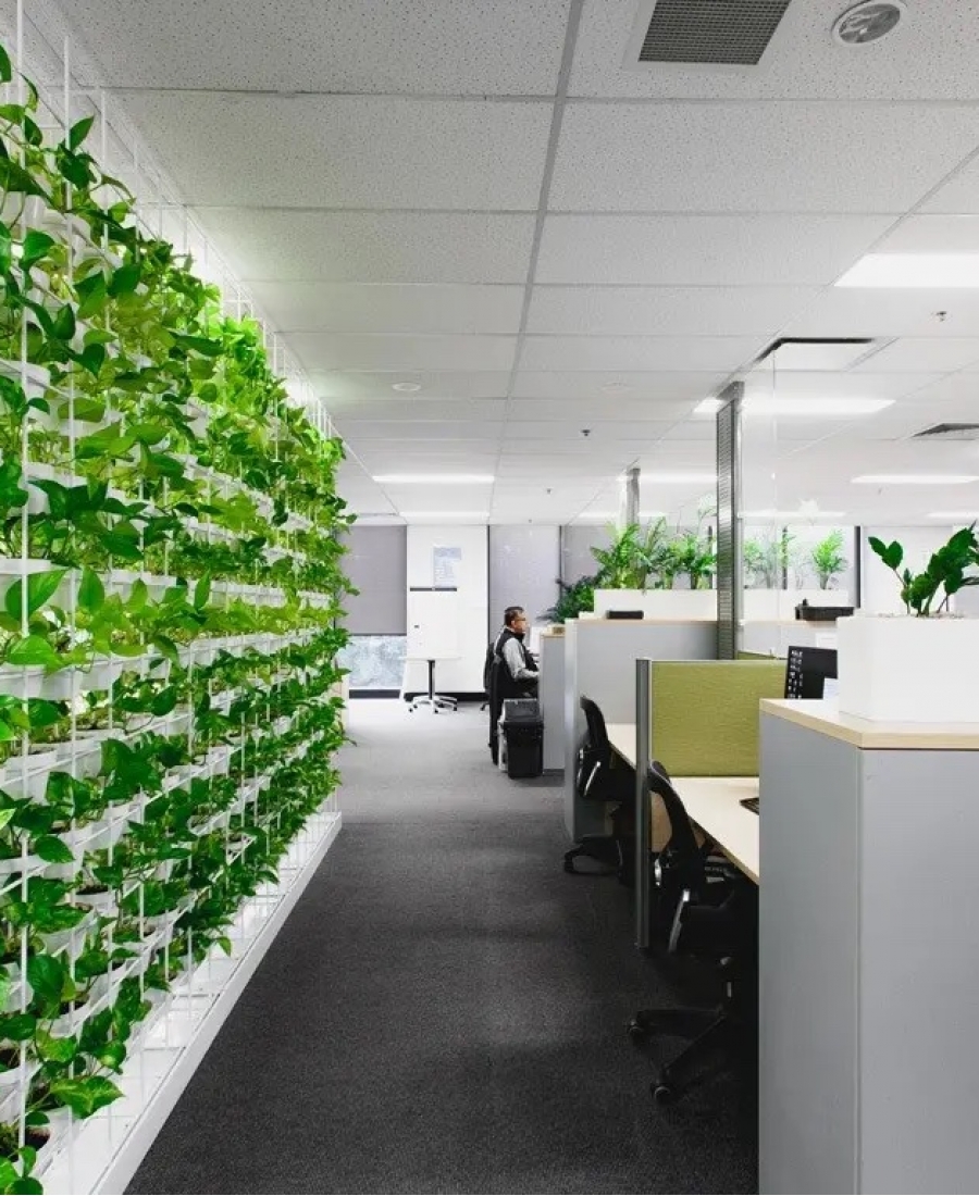 Office greening
